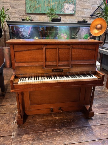 Morley traditional antique - morley,
