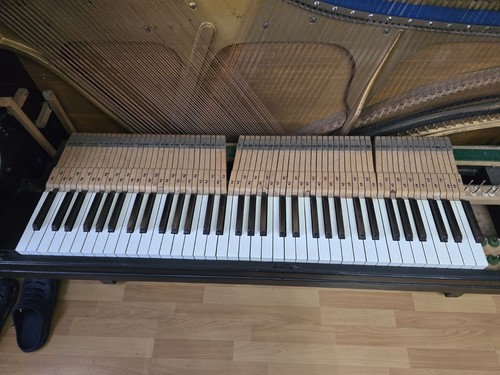 Piano keys - piano,