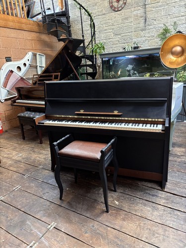 Petrof piano in matte - in,