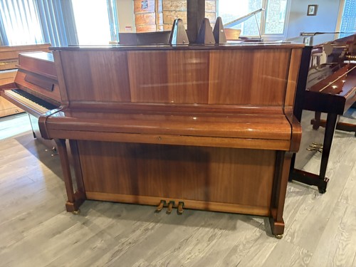 High gloss ronisch - gloss,